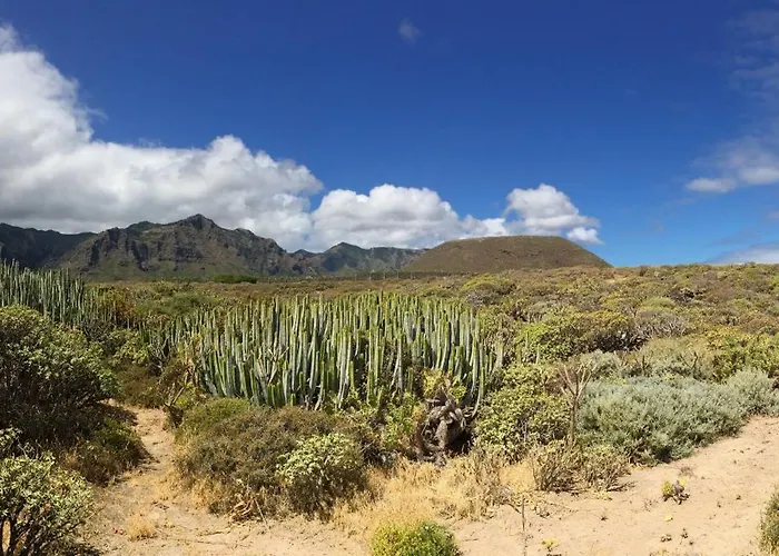 Tenohomes Warm And Comfortable Stay, Silos Los Silos