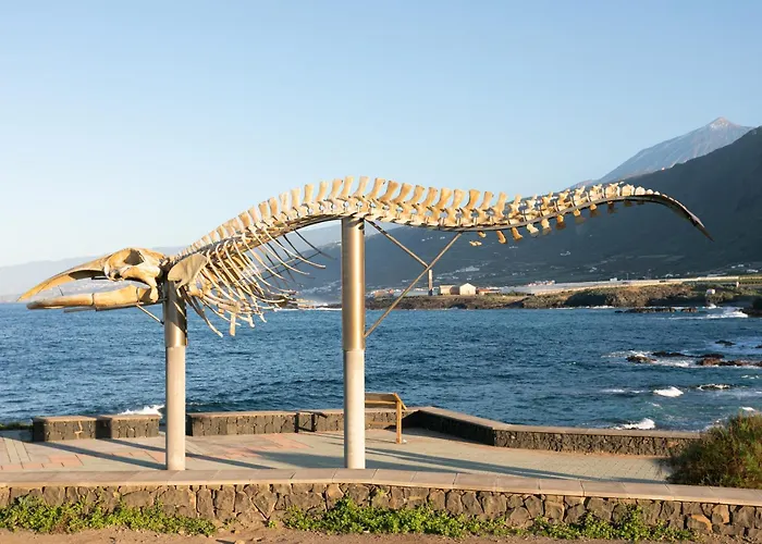 Tenohomes Warm And Comfortable Stay, Silos * Los Silos